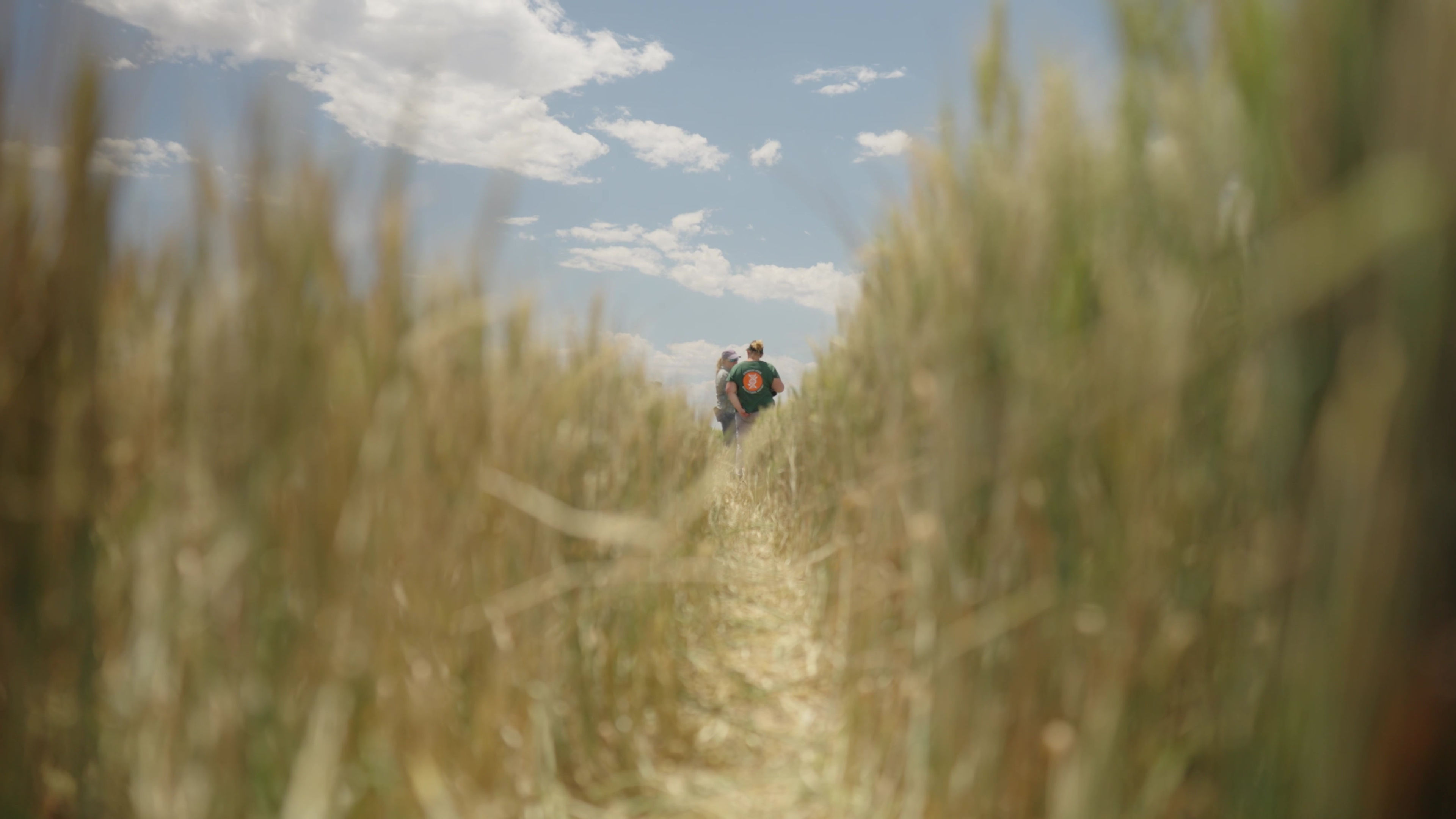 CSU Agriculture